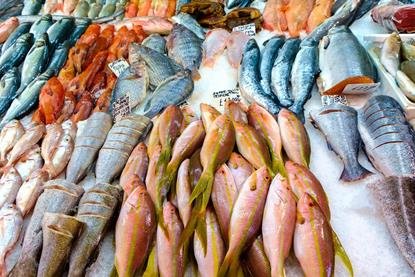 EU digital certification system